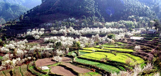 Serene Himachal